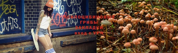 mix Алексеевка