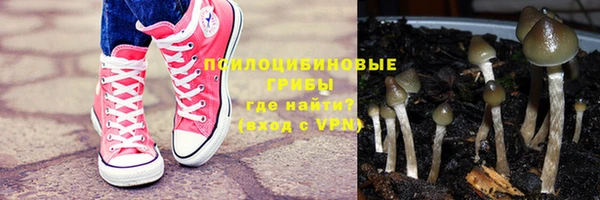 не бодяженный Алексин