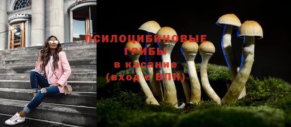 не бодяженный Алексин