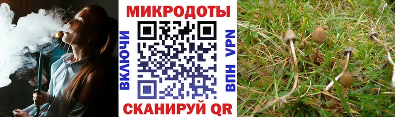 Галлюциногенные грибы MAGIC MUSHROOMS Углегорск