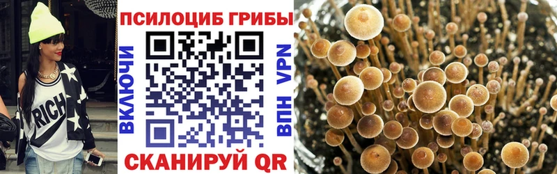 Галлюциногенные грибы GOLDEN TEACHER  Углегорск 
